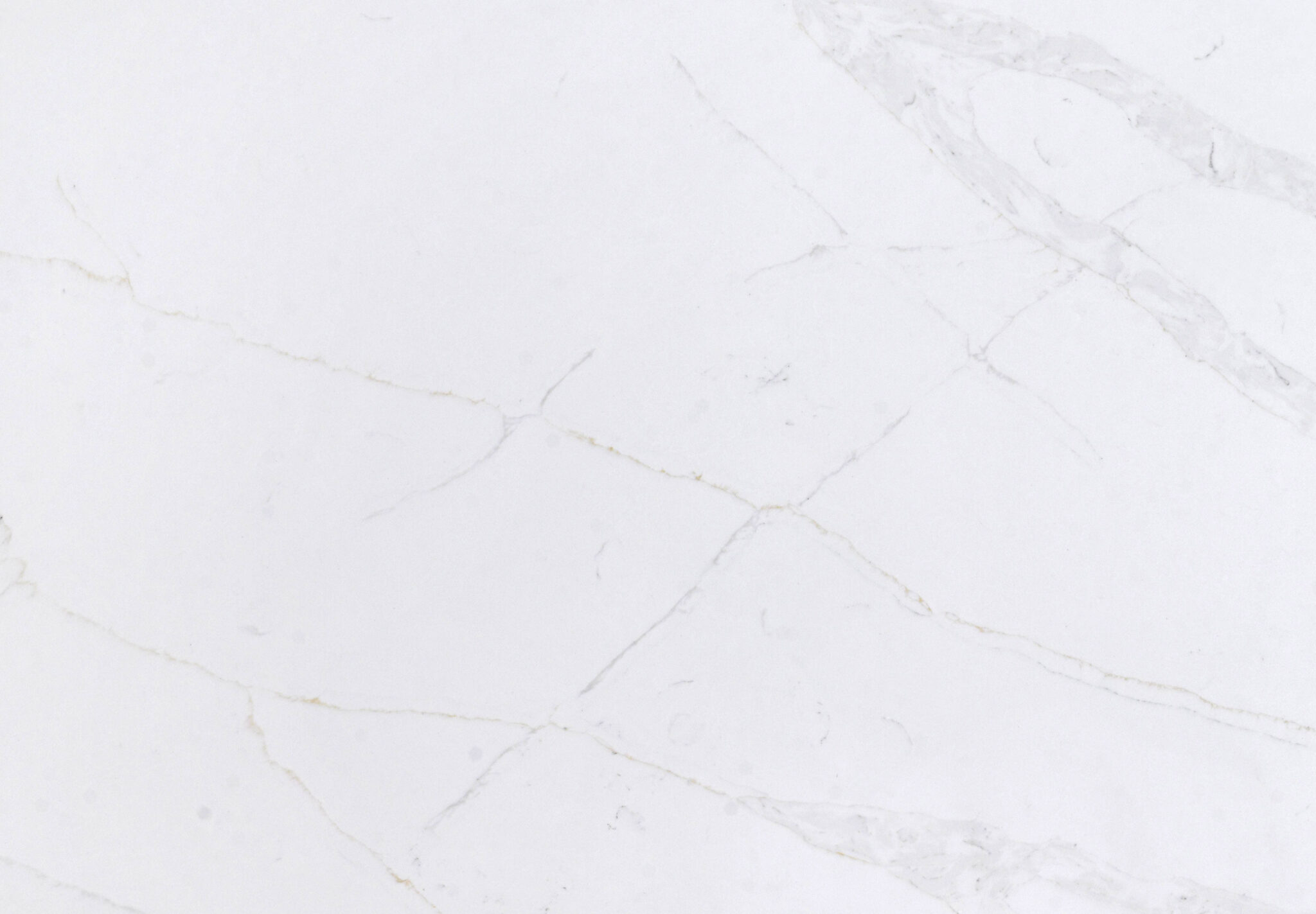 CSQ291 Calacatta Delicato - 图片 2